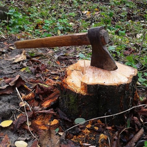 axe-497181_640