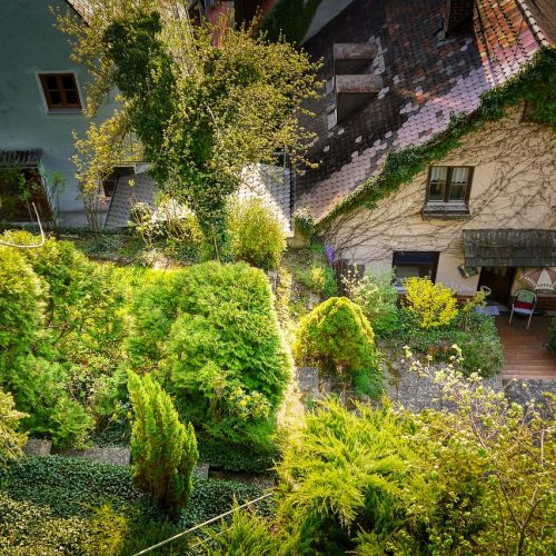 garden-6570716_1280