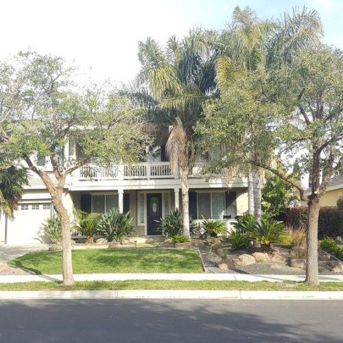 Emergency Tree Removal