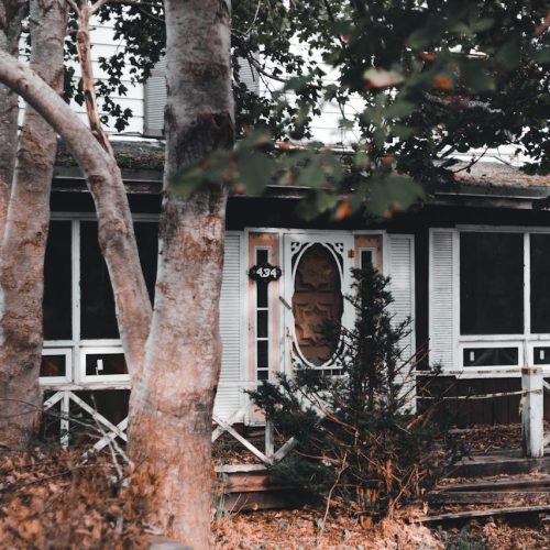 pexels-introspectivedsgn-9764659