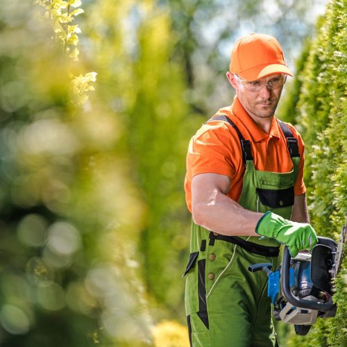 shrub-wall-trimming.jpg